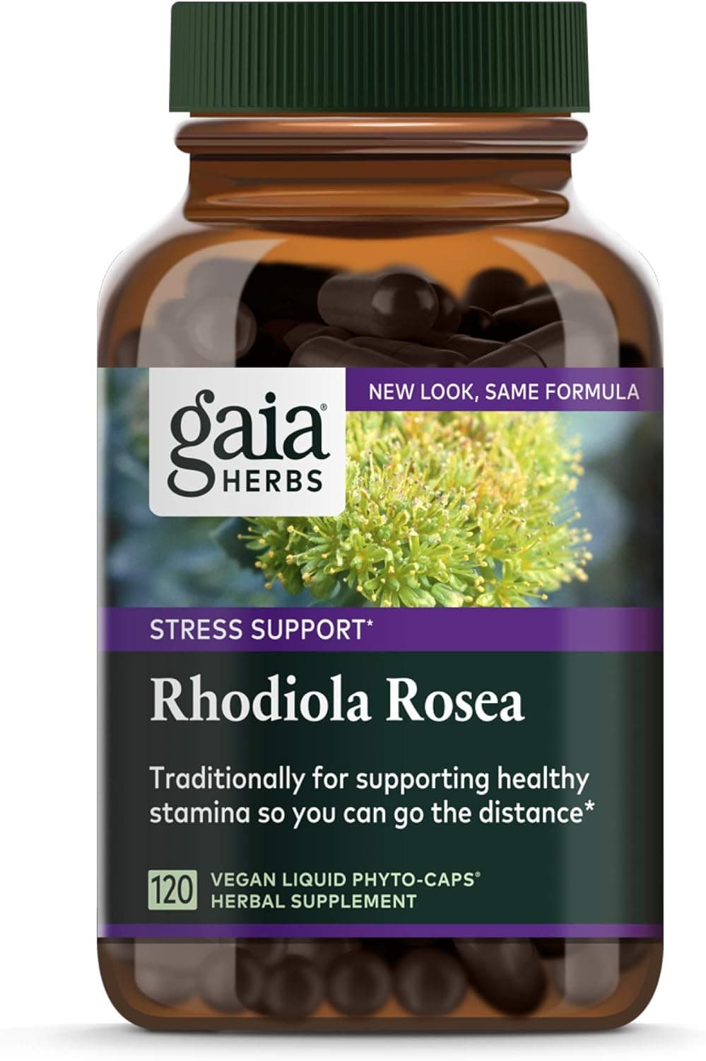 Gaia Herbs Gaia Herbs Rhodiola Rosea