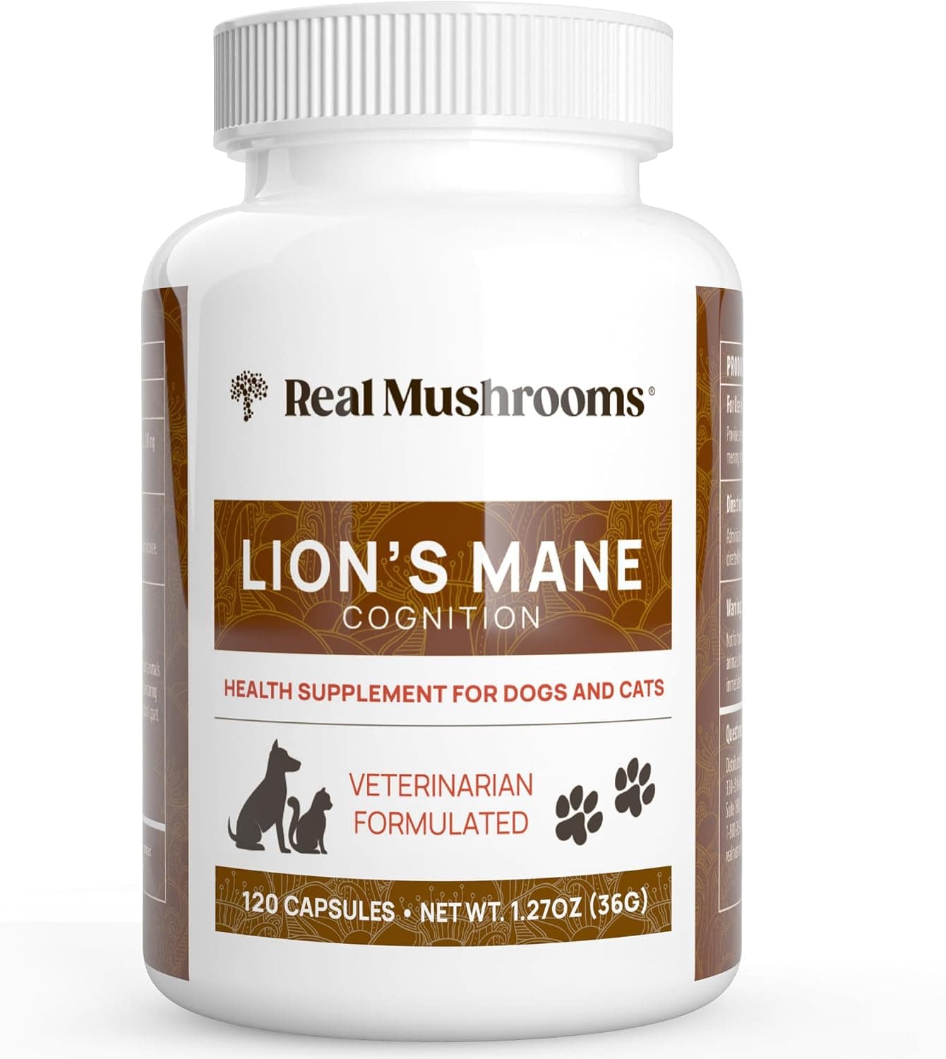Real Mushrooms Real Mushrooms Lion's Mane Extract