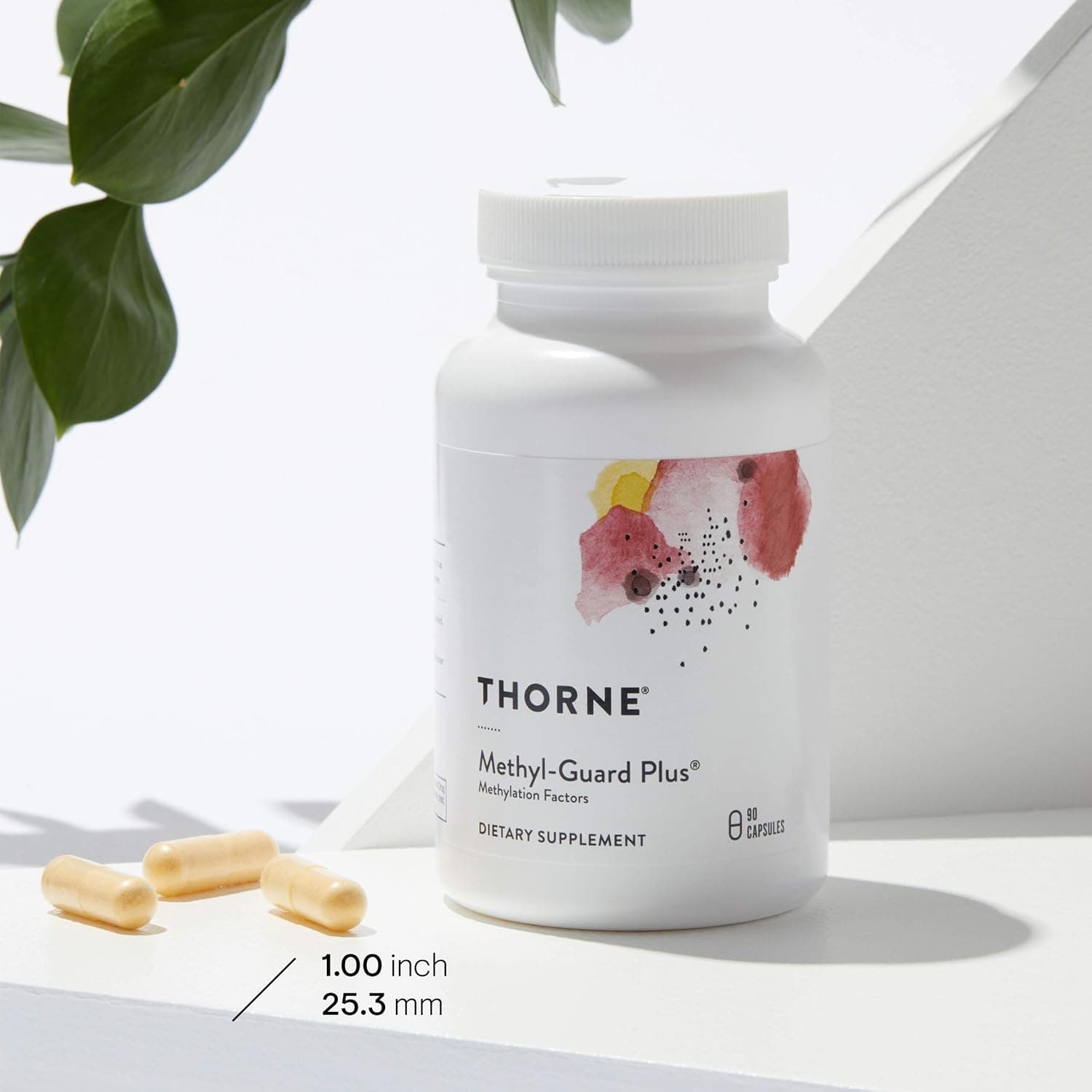 Thorne Methyl-Guard Plus, front of pack