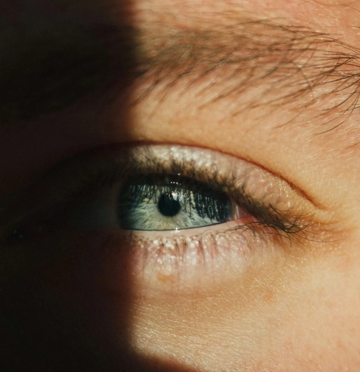 Human eye in macro detail