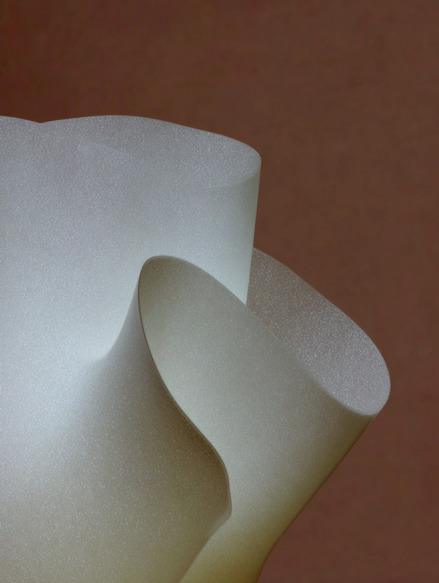 Curled paper in warm light